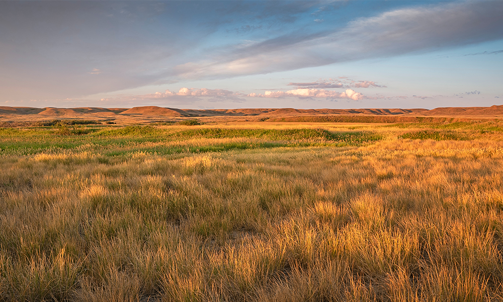 Broken Hills Trail: Grasslands in Saskatchewan, land of tall grass with mountain in the background